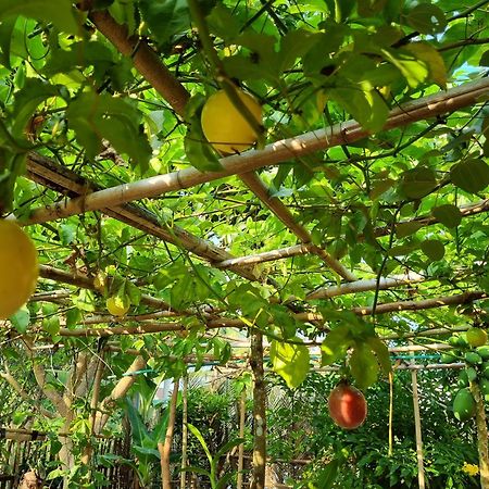 Anan Boutique Bungalows With Private Kitchen 두옹 동 외부 사진