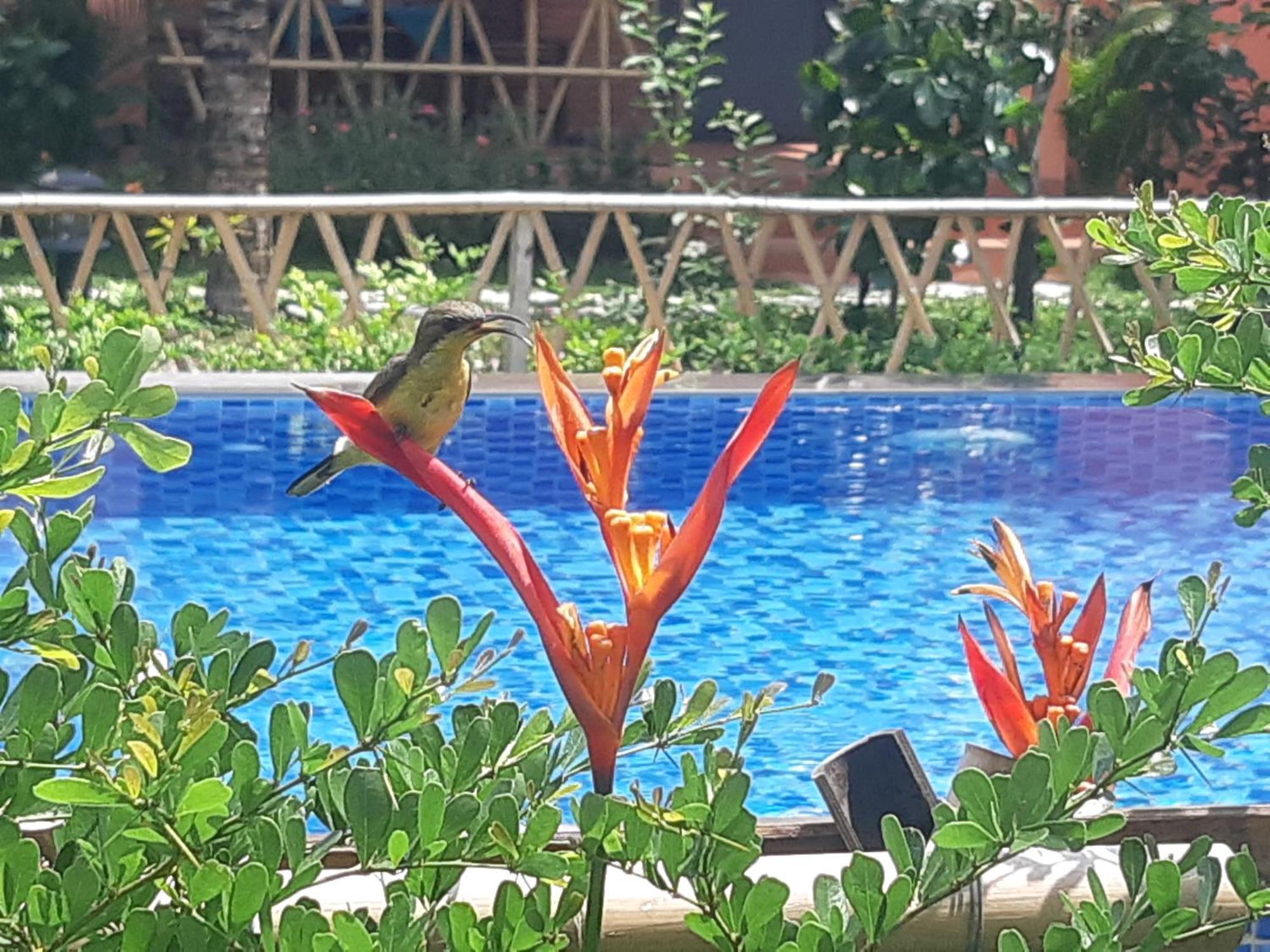 Anan Boutique Bungalows With Private Kitchen 두옹 동 외부 사진