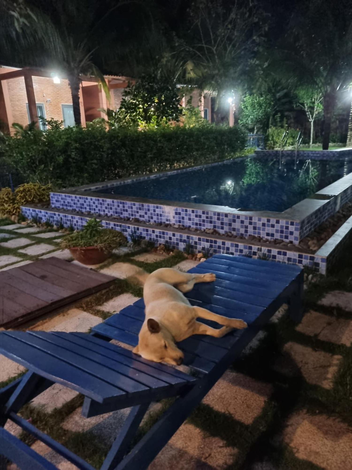 Anan Boutique Bungalows With Private Kitchen 두옹 동 외부 사진